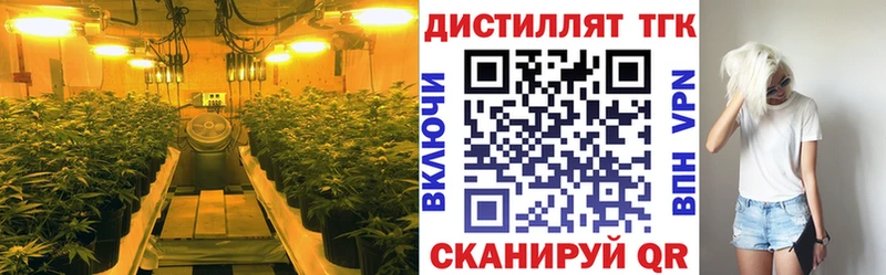 ТГК гашишное масло наркотики Яблоновский